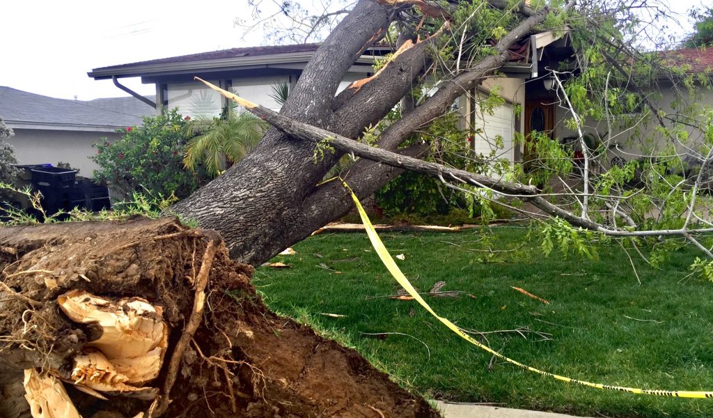 Genesis Restoration wind damage Riverside and San Bernardino CA